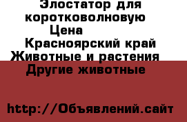 Элостатор для коротковолновую › Цена ­ 2 700 - Красноярский край Животные и растения » Другие животные   